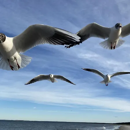 Solamar Eg アパート ブレーゲ